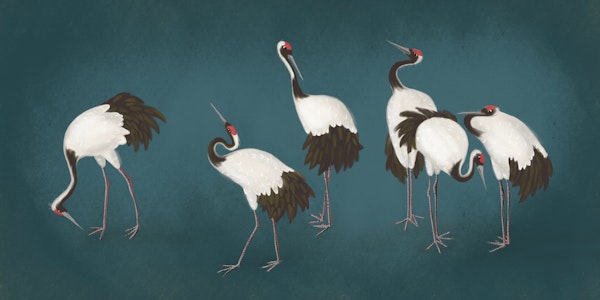 Serene Crane Design for Home