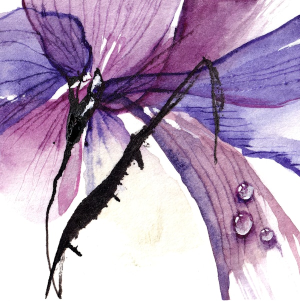 Abstract Orchid in Purple Tones