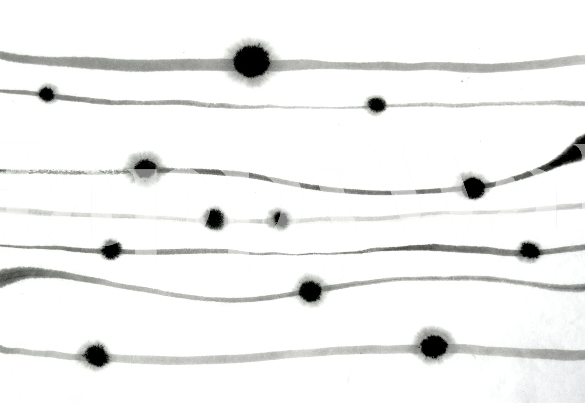 Sprout 03 wallpaper displayed in a room