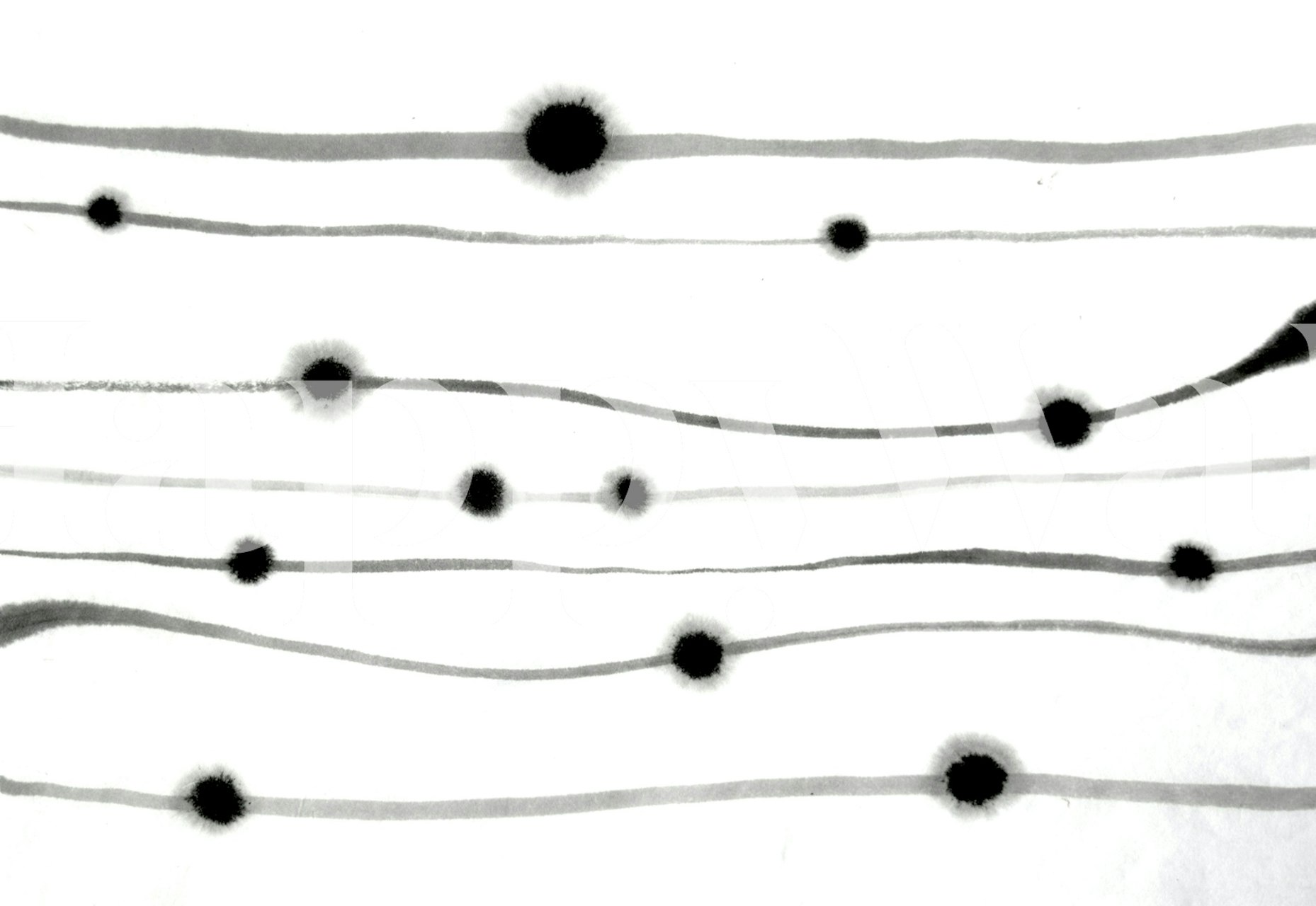 Sprout 03 wallpaper displayed in a room