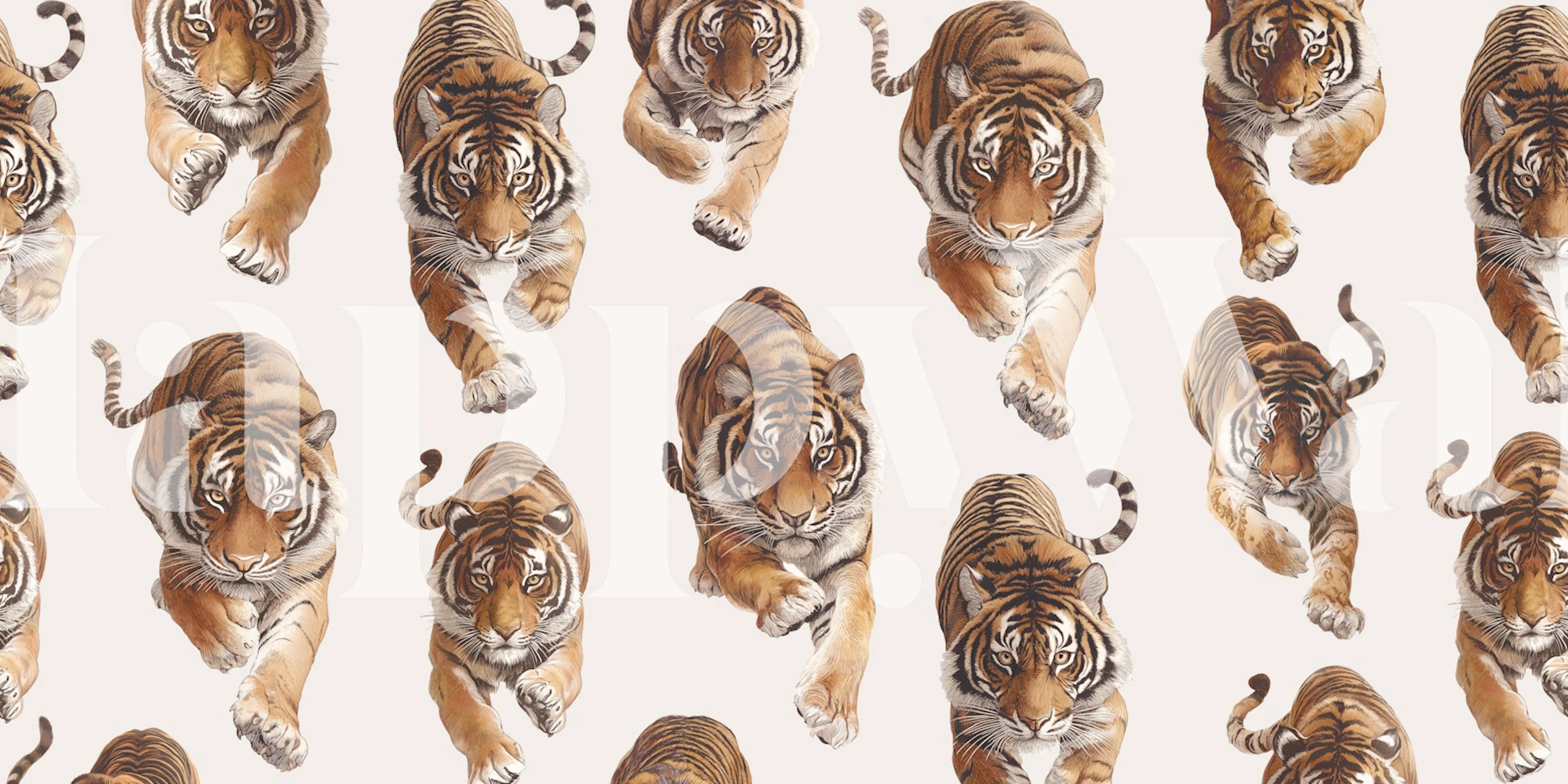 Wild Tiger wallpaper design in a room
