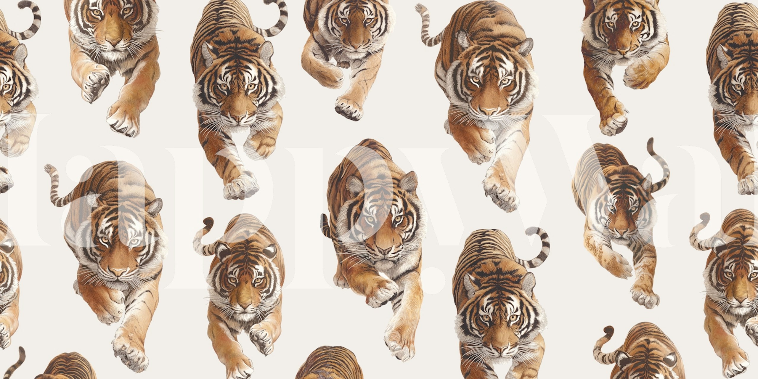 Wild Tiger wallpaper design in a room