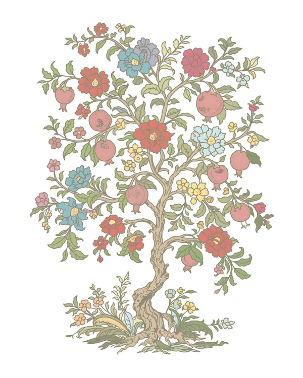 Antique Botanical Pomegranate