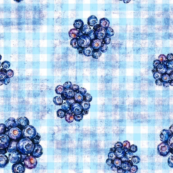 Blueberry Gingham Picnic
