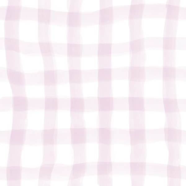 Soft Pink Gingham Checks
