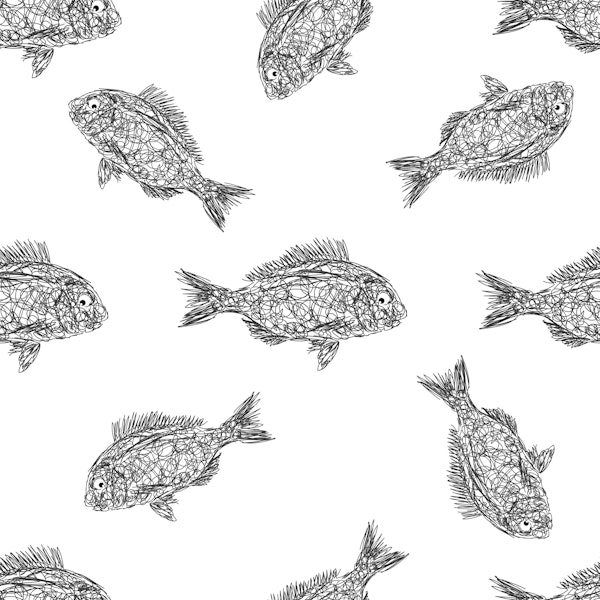 Fishermans love - Scribble Fish Sketch