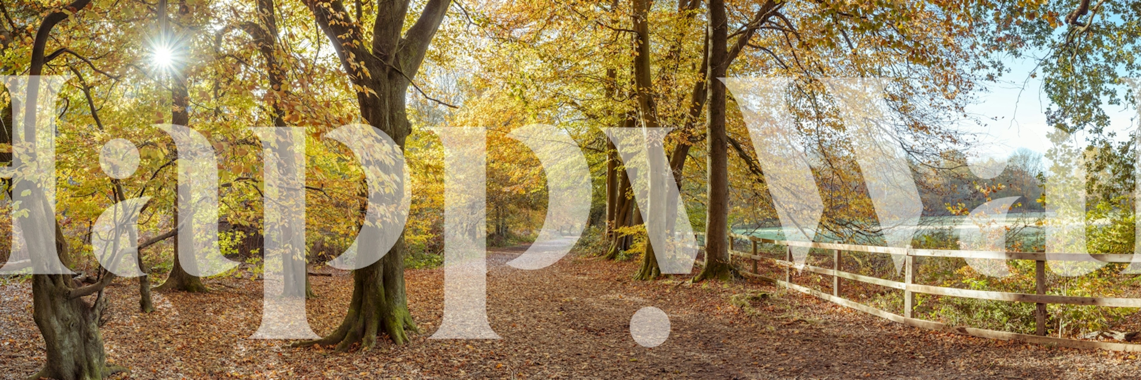 Maaseutupolku syksyn väreissä tapetti