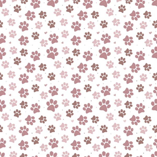 Blush Dog Paws