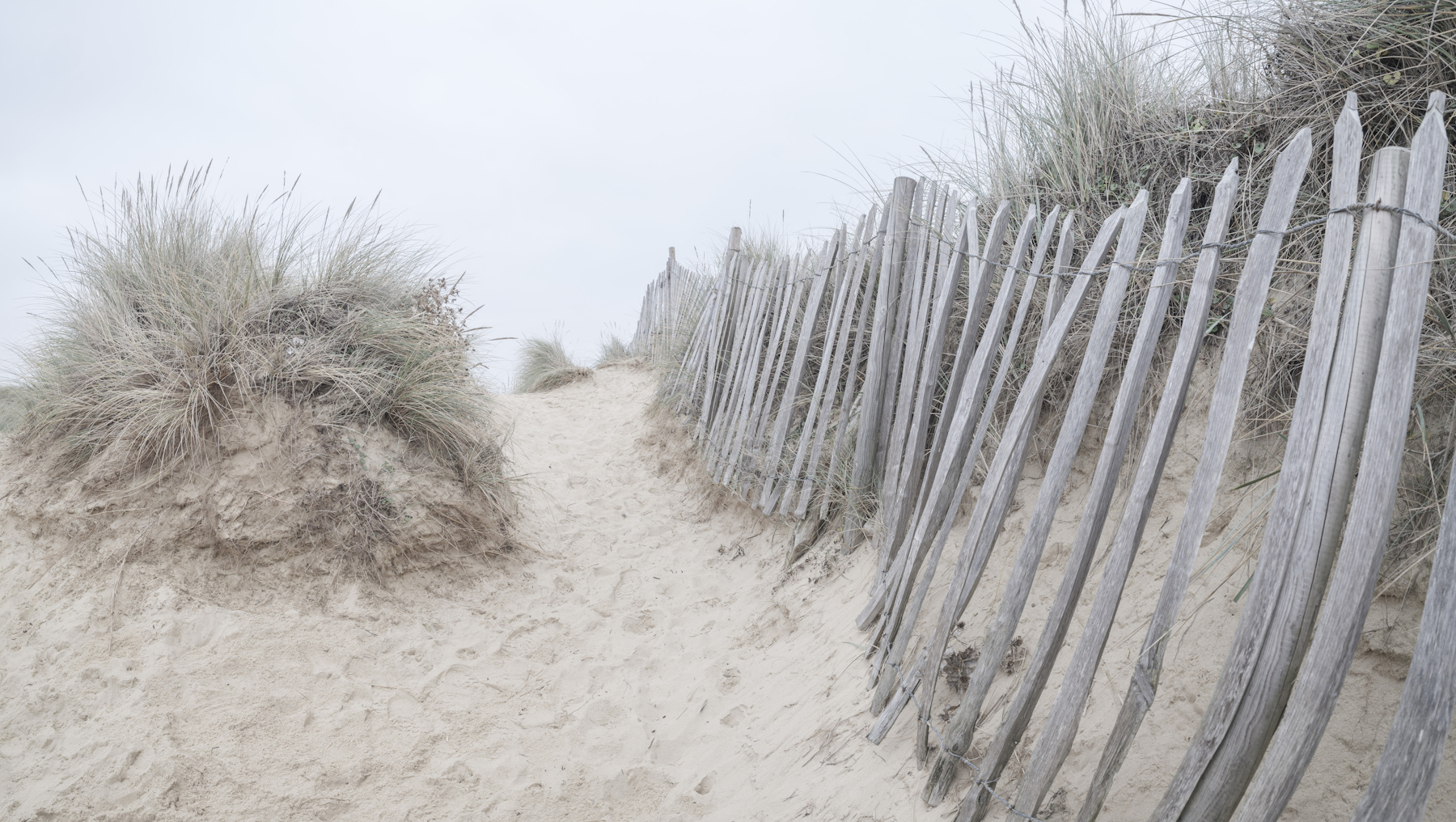 sanddunes