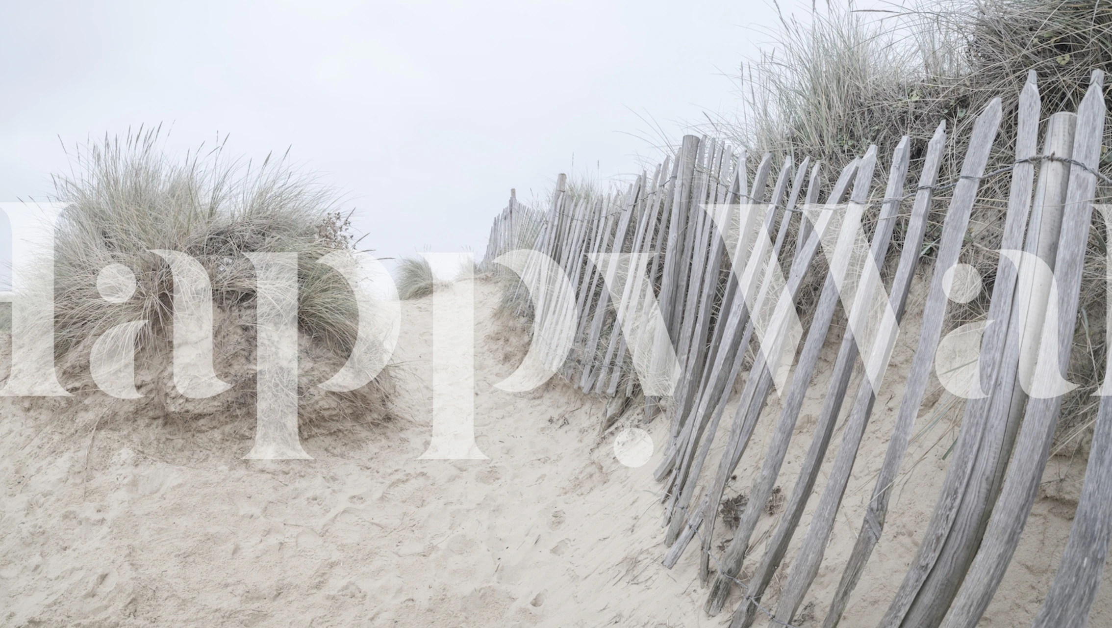 Coastal Dune Pathway wallpaper in a room