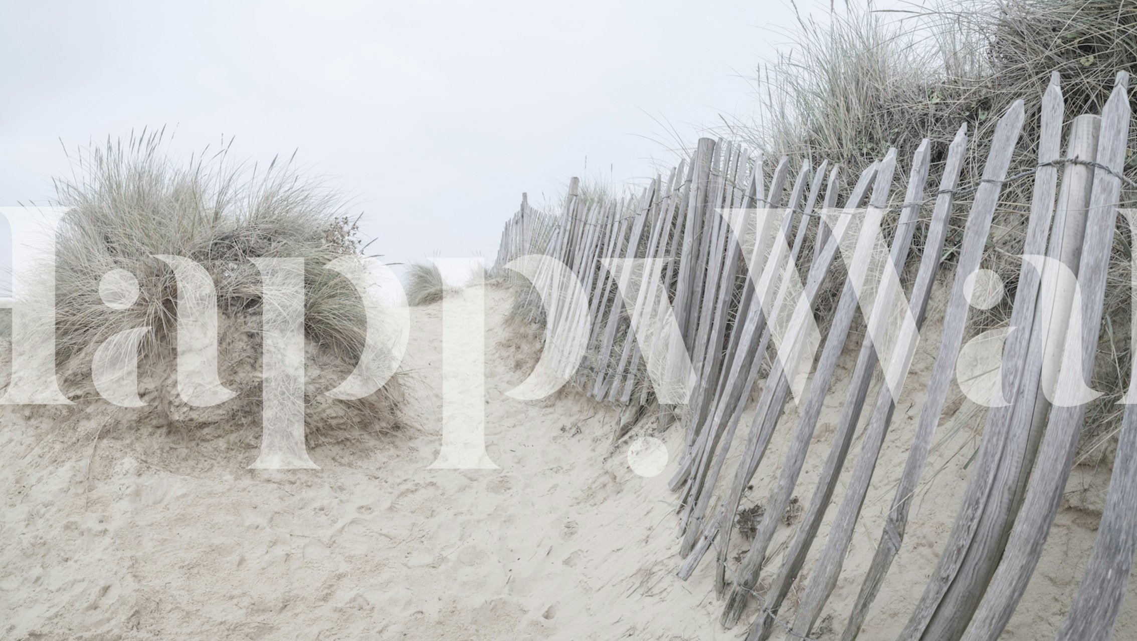Coastal Dune Pathway wallpaper in a room