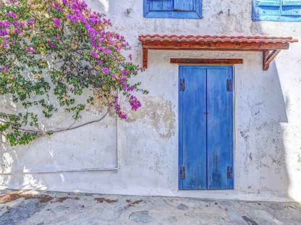 Blue Door Bougainvillea Wall