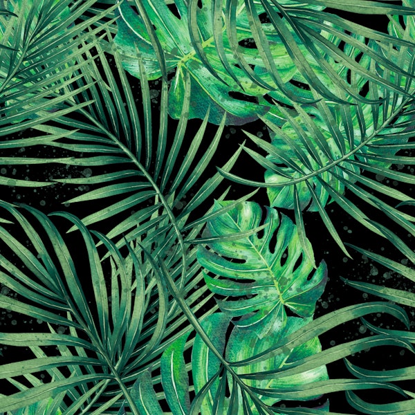Tropical Monstera Night