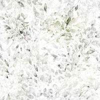 Muted Eucalyptus Botanical Wash behang