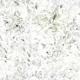 Muted Eucalyptus Botanical Wash