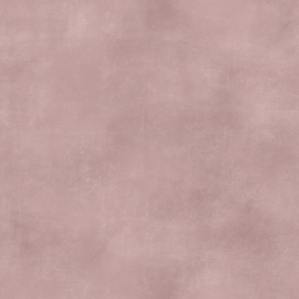 Blush Pink Textured Plaster