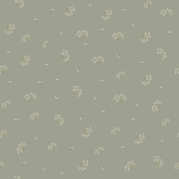Gypsophila on khaki