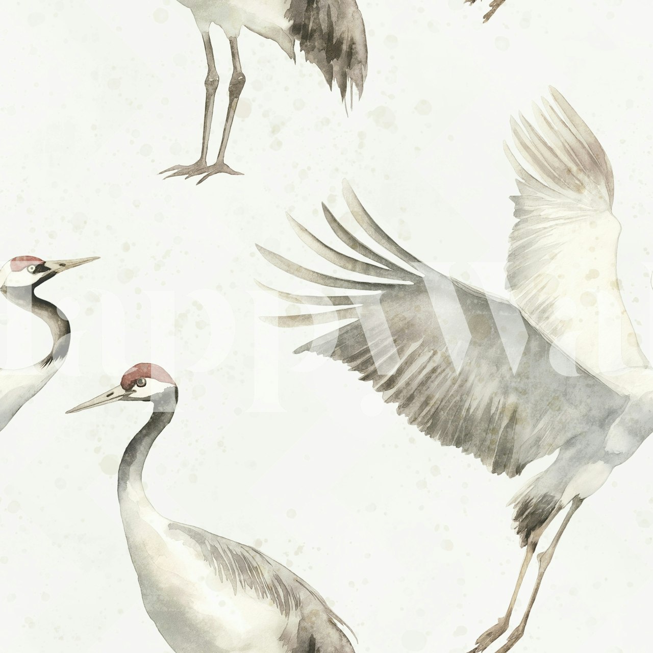 Watercolor Cranes in Flight tapetdesign