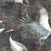 Cranes dark grey tapete