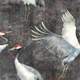 Cranes dark grey