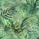 Emerald Tropical Palm Leaves