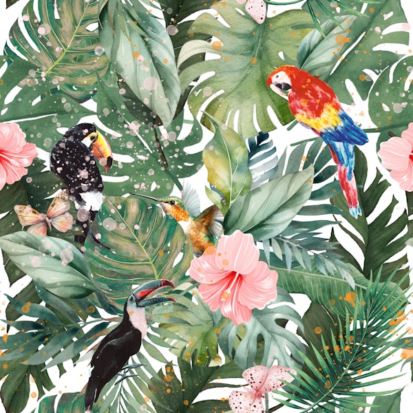 Tropical Birds and Monstera