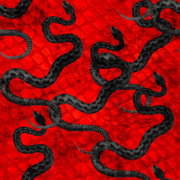 Dark Serpents Crimson Backdrop