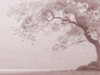 Misty Maple Tree in Soft Pink papiers peint