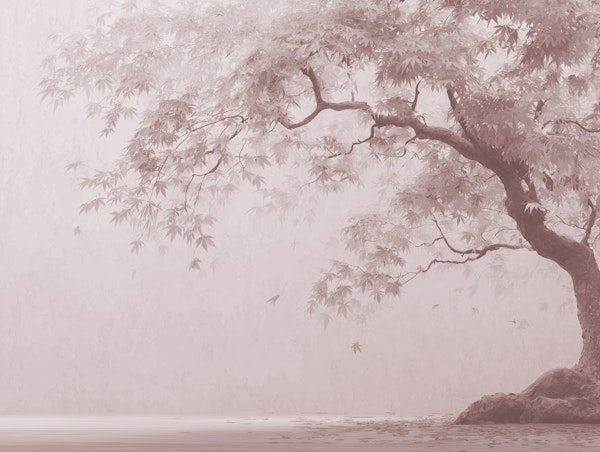 Misty Maple Tree in Soft Pink