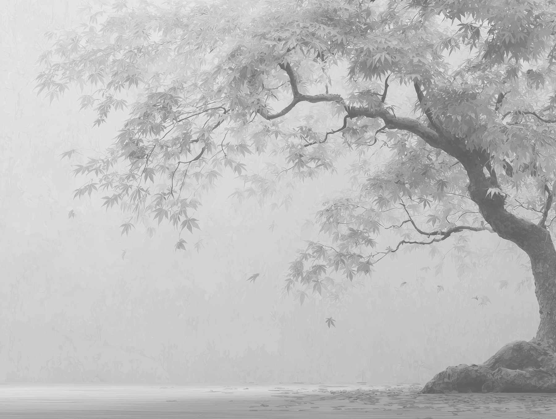 Soft Grey Misty Maple Tree Wallpaper