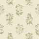 Sage Botanical Silhouettes