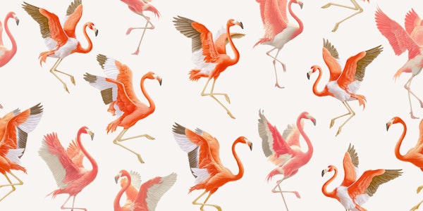 Flamingo Dance on Ivory