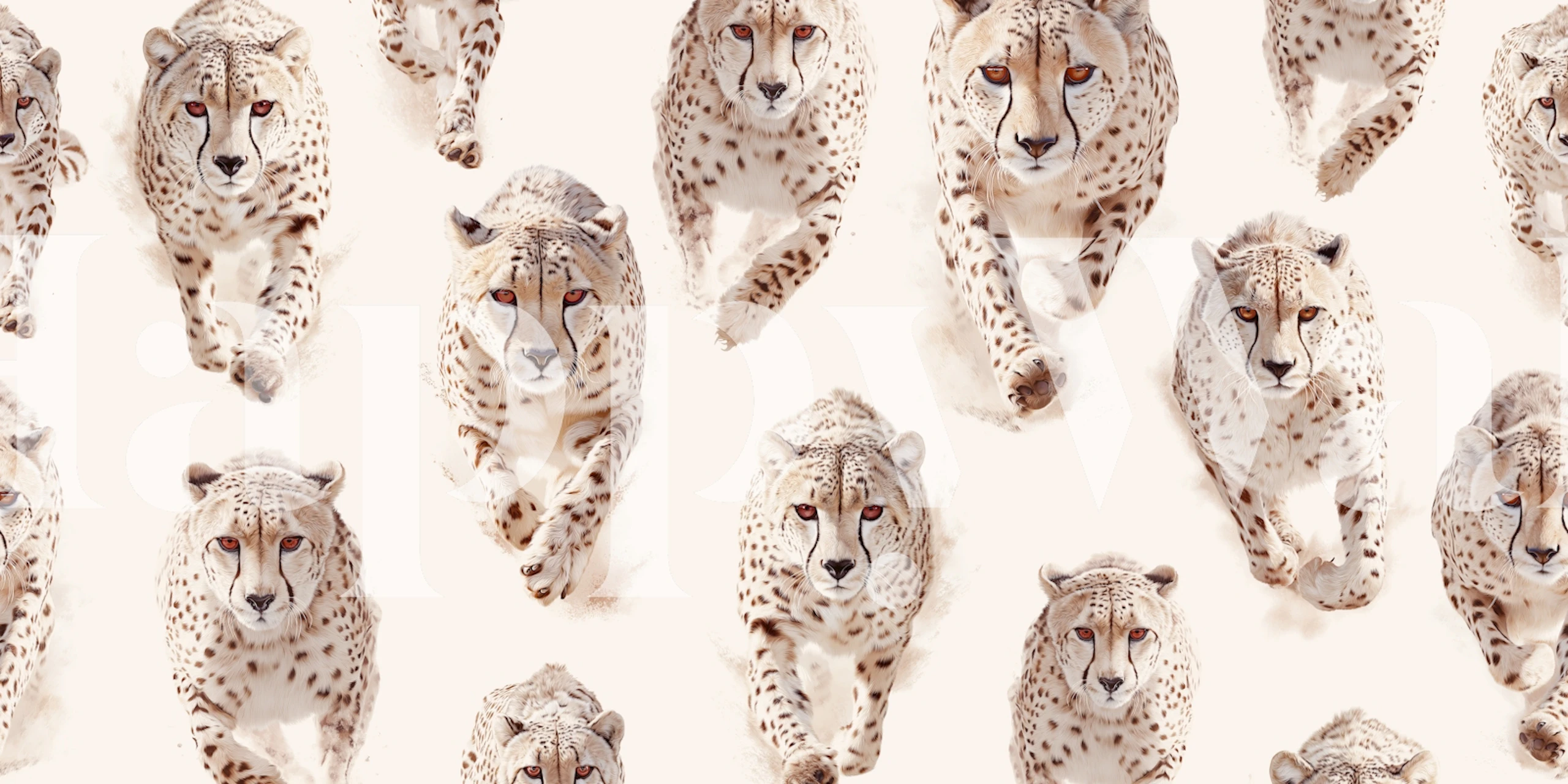 Cheetahs on cream wallpaper in room
