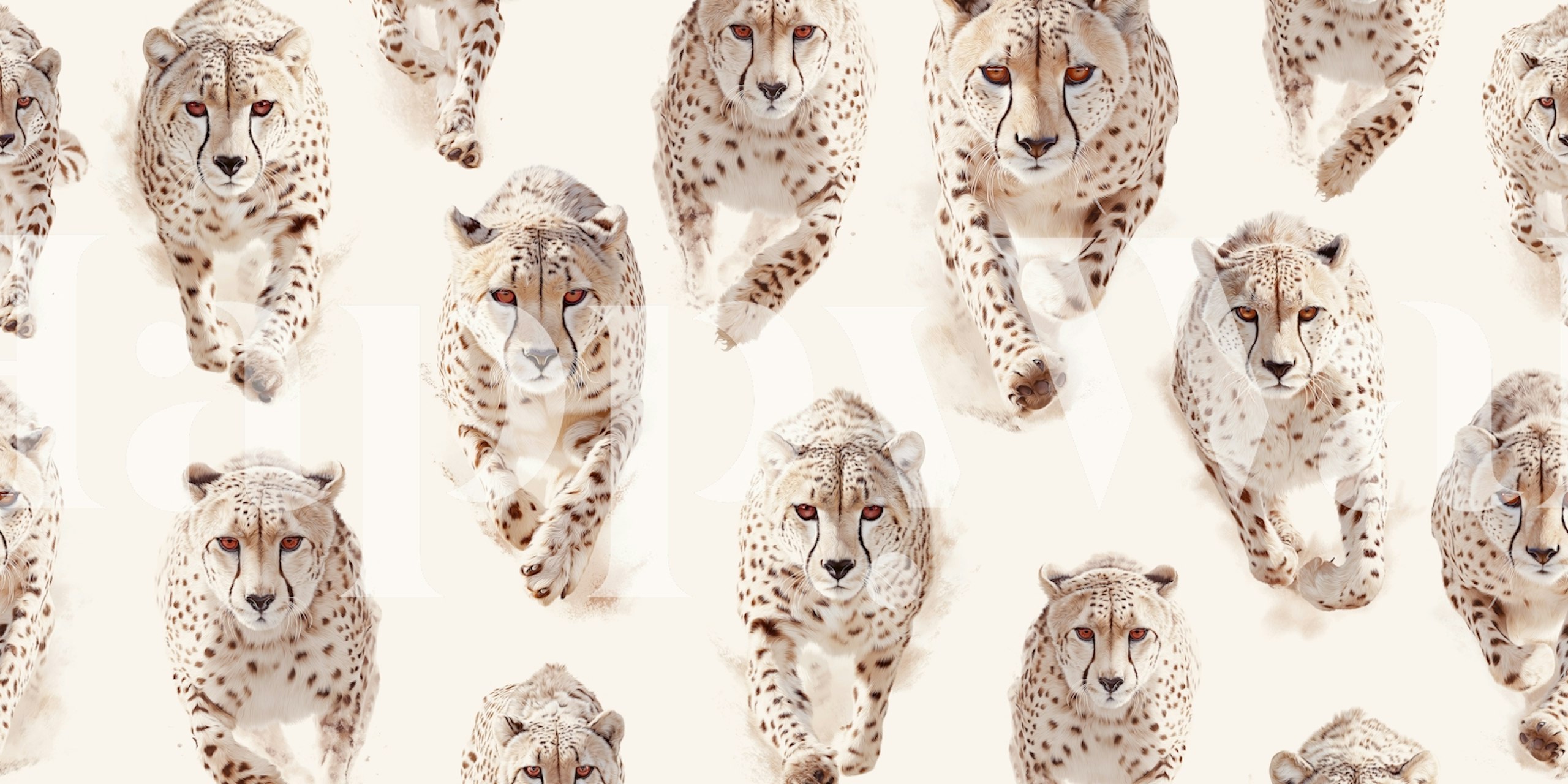Cheetahs on cream wallpaper in room