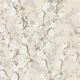 Cherry Blossoms - cream