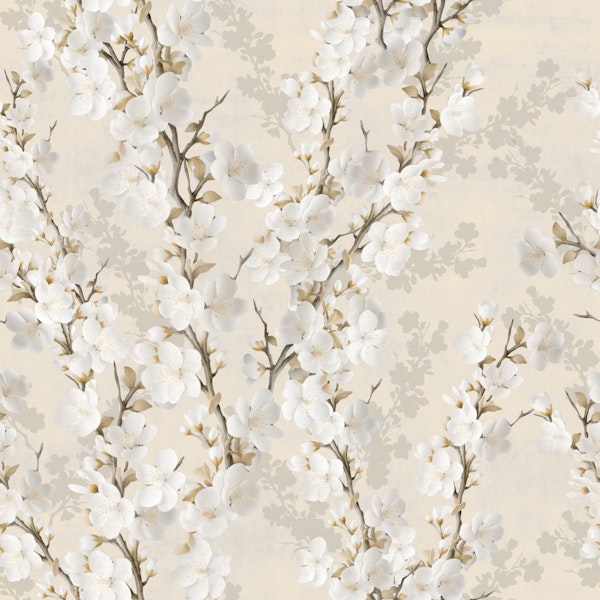 Cherry Blossoms - cream