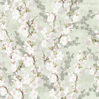 Cherry Blossoms sakura on sage green wallpaper
