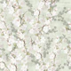 Cherry Blossoms sakura on sage green
