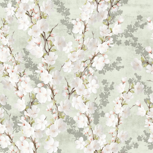 Cherry Blossoms sakura on sage green