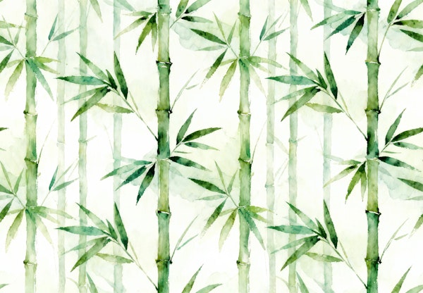 Watercolor Bamboo Grove