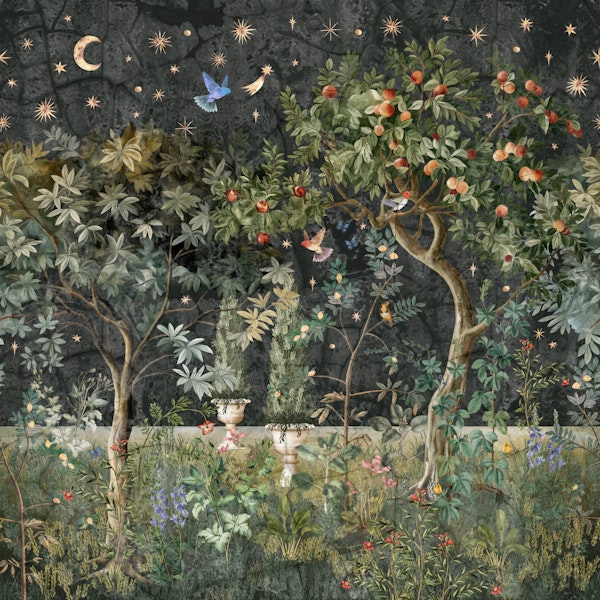 Starry Orchard Dreams Dramatic Black