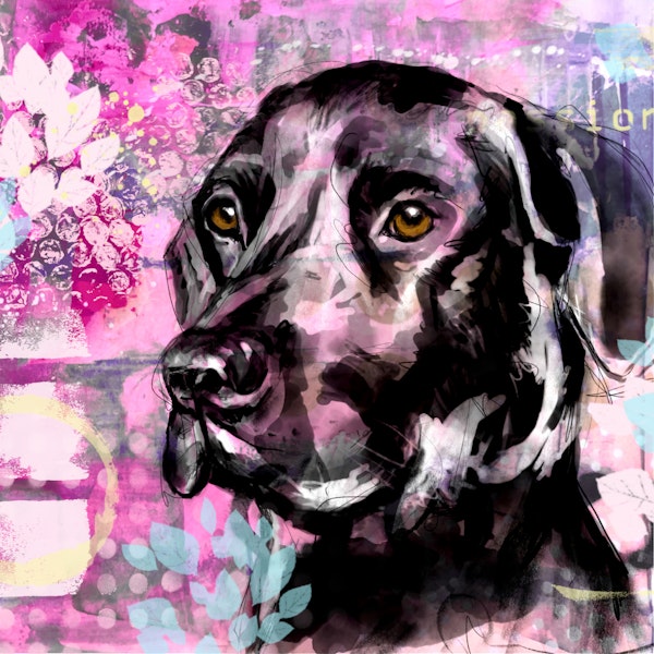 Graffiti Style Black Dog Close Up