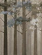Moody Pine Forest Haze