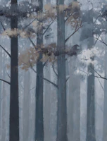 Misty Blue Forest behang