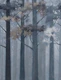 Misty Blue Forest