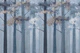 Misty Blue Forest