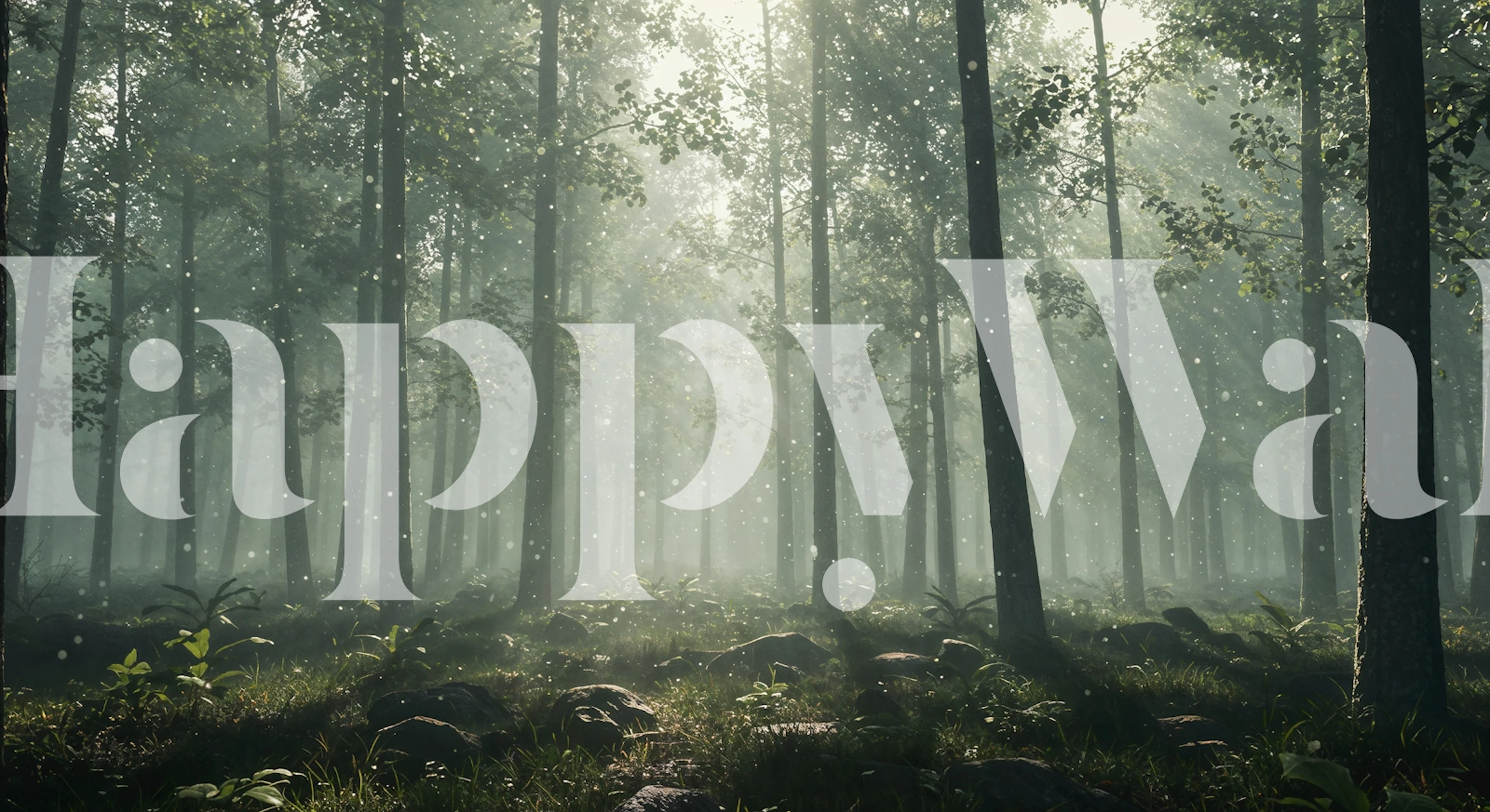 Dreamy Forest Light Beams wallpaper in a room