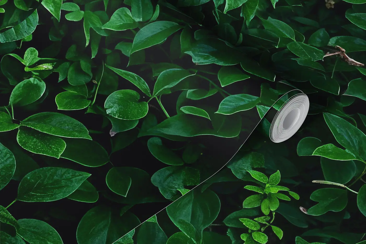 Emerald Ivy Hedge wallpaper roll