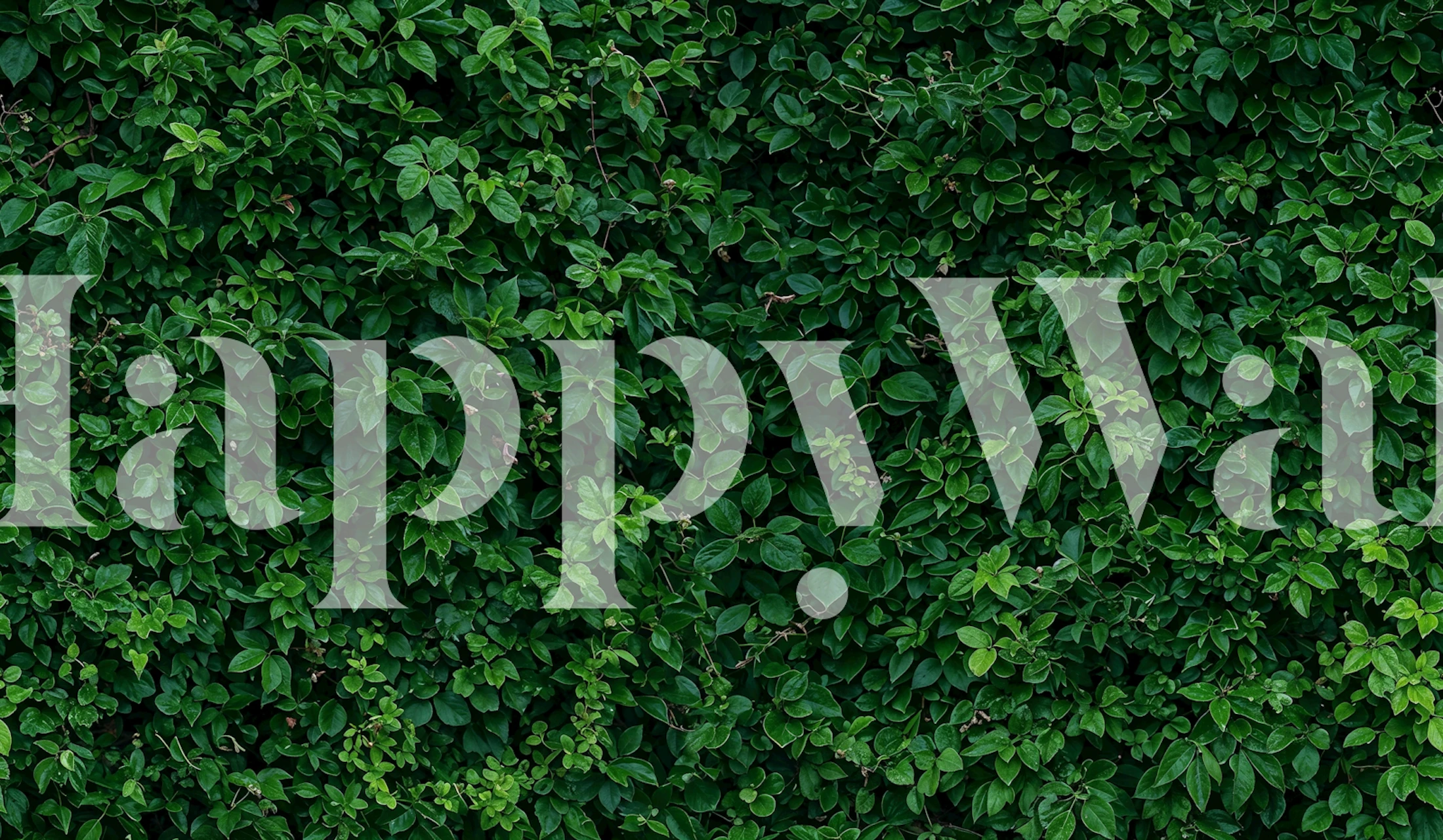 Emerald Ivy Hedge wallpaper design for interiors