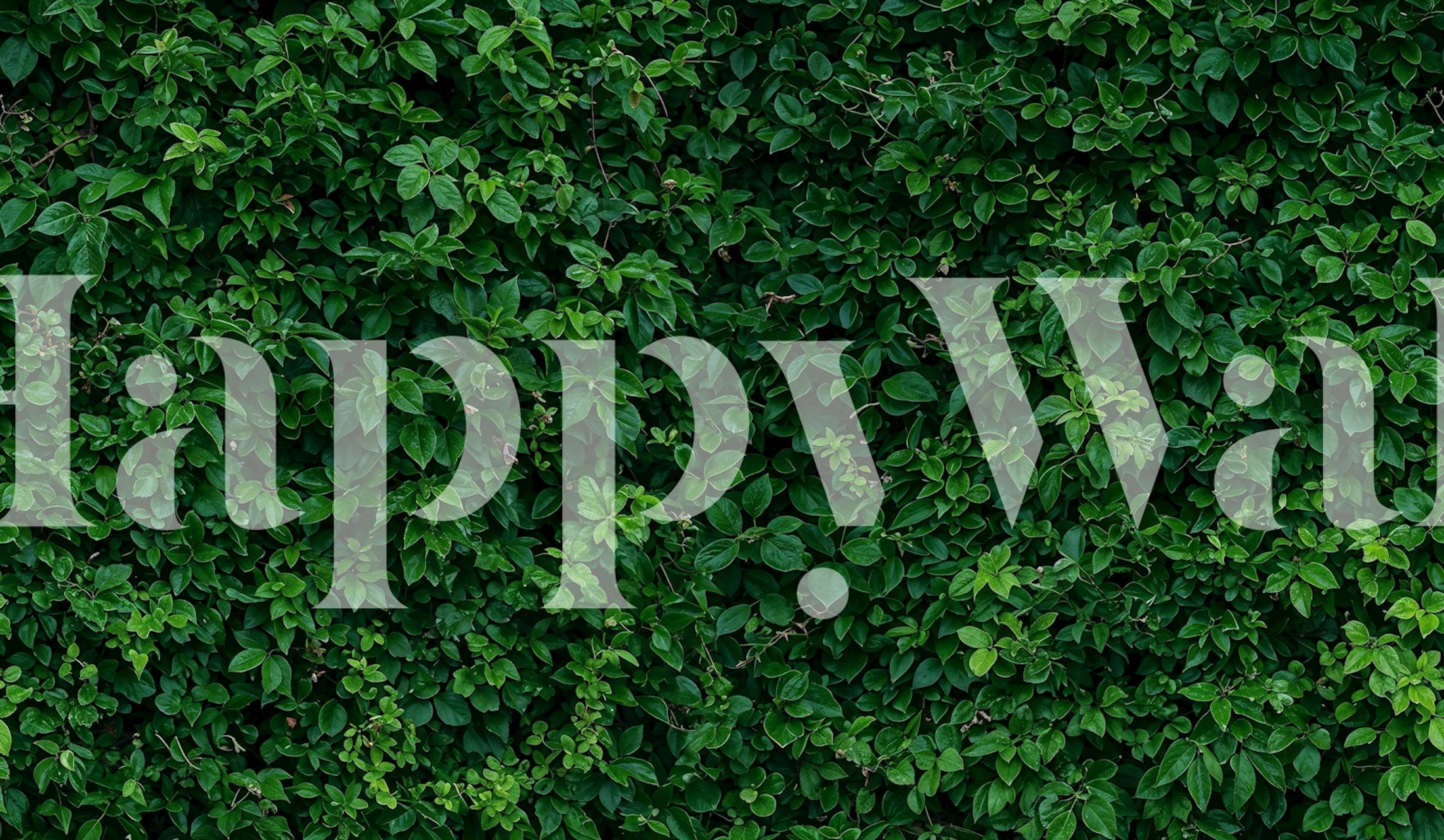 Emerald Ivy Hedge Design für Innenräume